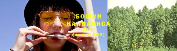 дмт Горнозаводск