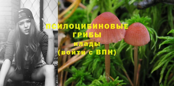 дмт Горнозаводск