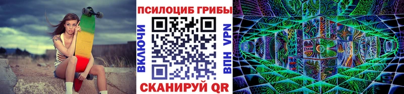 где найти наркотики  Щучье  Галлюциногенные грибы Psilocybe 